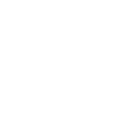 集團實力